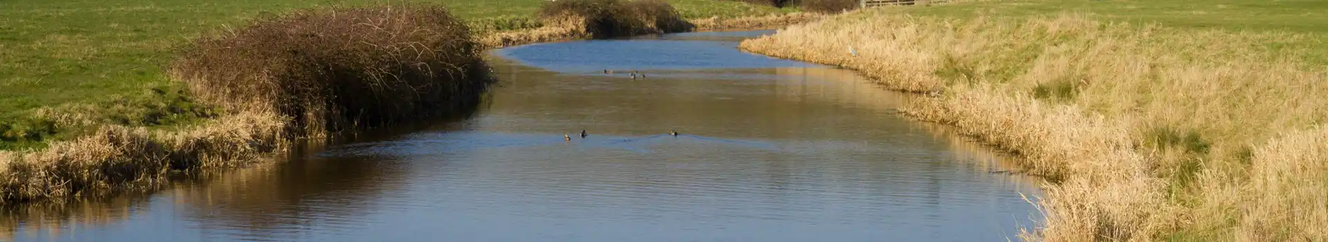 Bleadon campsites