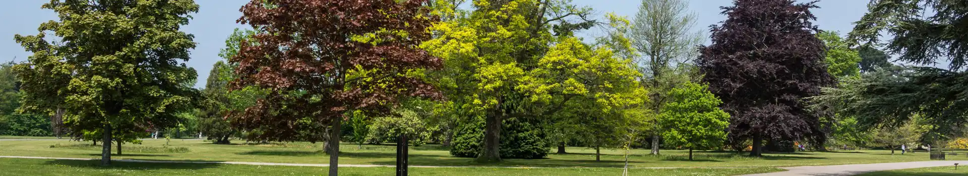 Exbury campsites