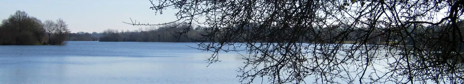 Harleston campsites