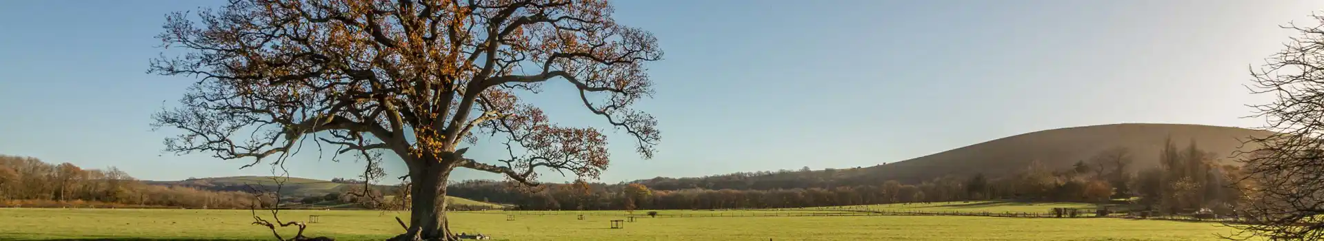 Hurstpierpoint campsites