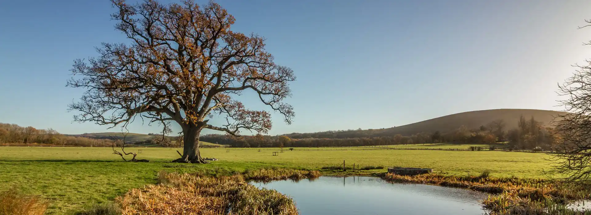 Hurstpierpoint campsites