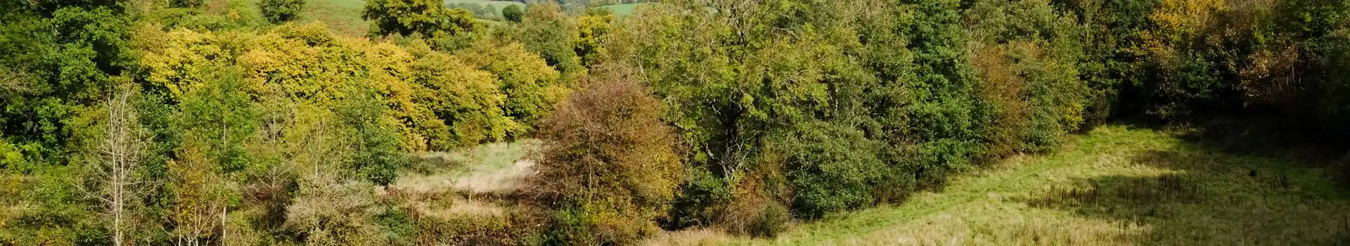 Llanbrynmair campsites