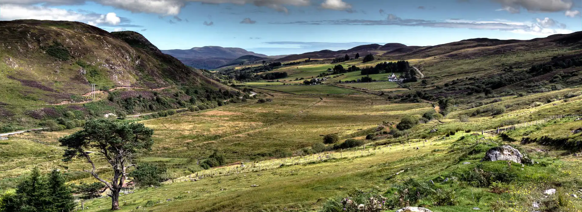 Rogart campsites