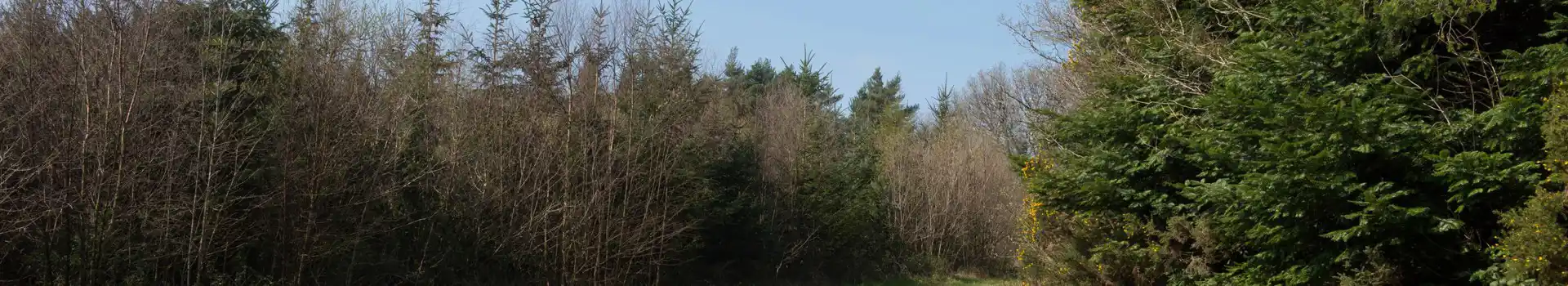 Winkleigh campsites