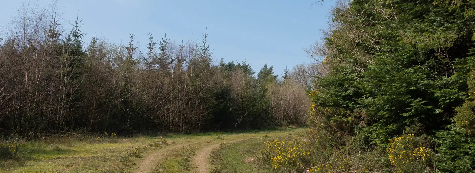 Winkleigh campsites