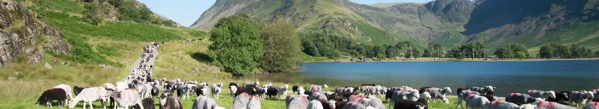 Gatesgarth campsites