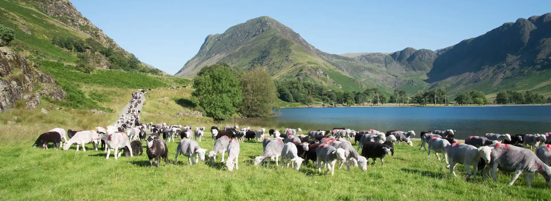 Gatesgarth campsites