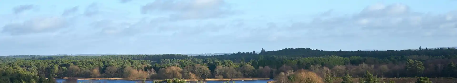 Frensham campsites