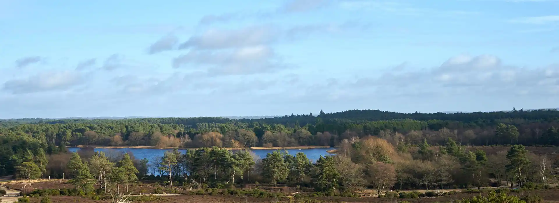 Frensham campsites