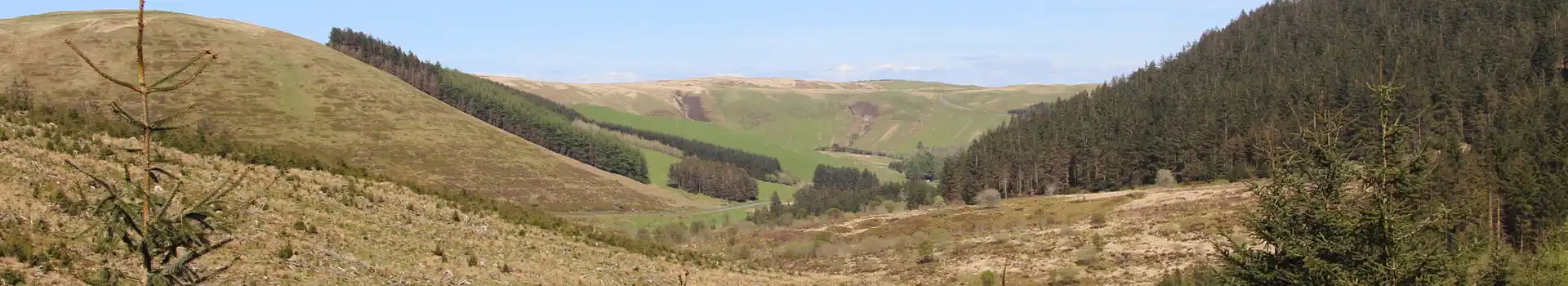 Llangurig campsites