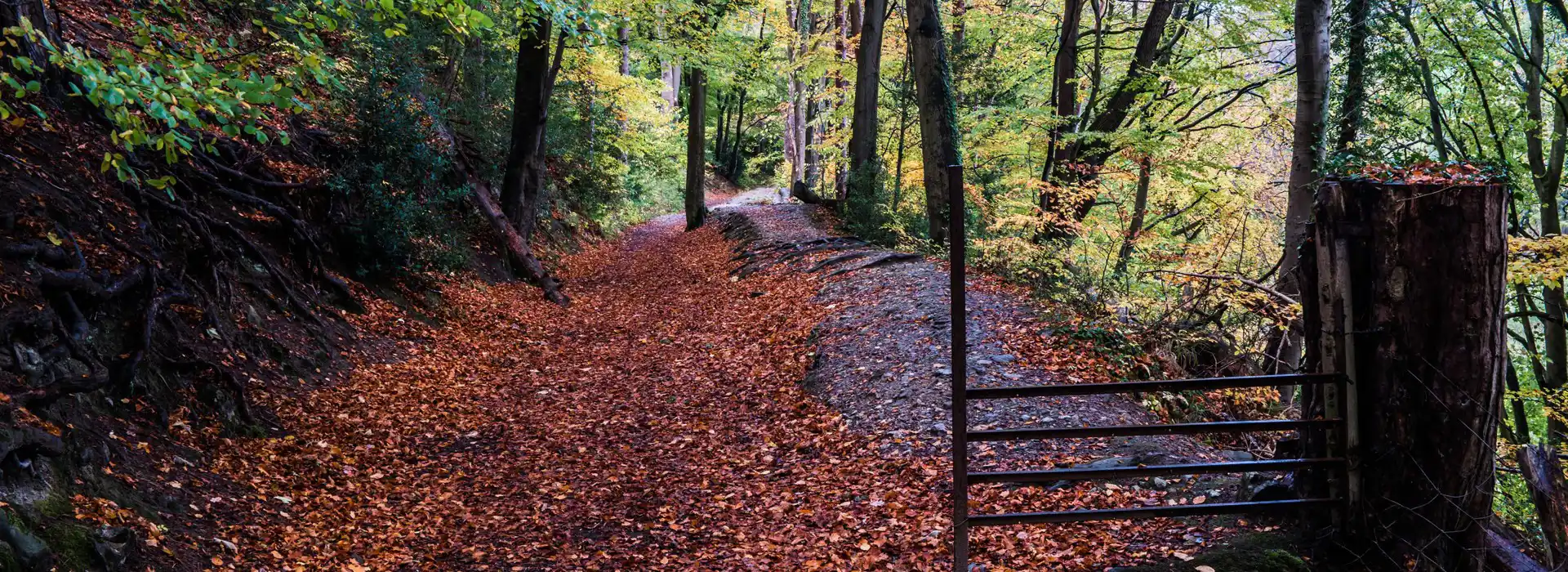 Cilcain campsites