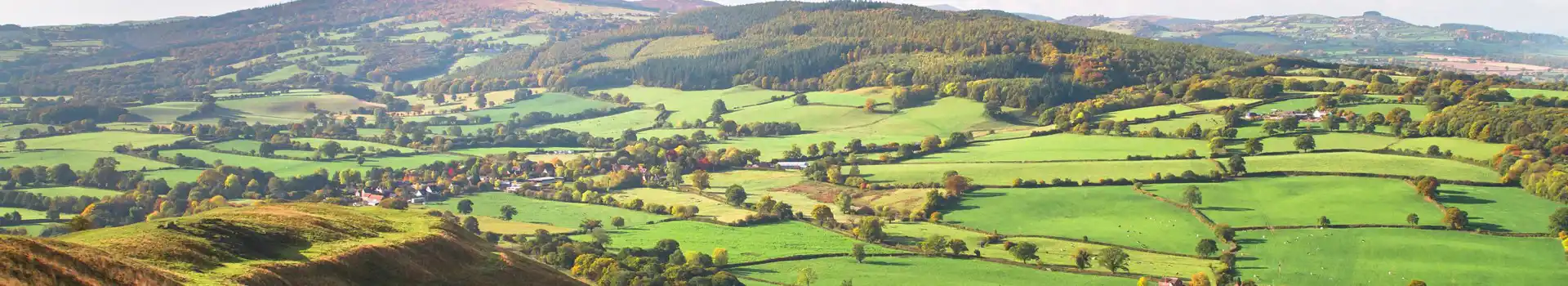 Pontesford campsites