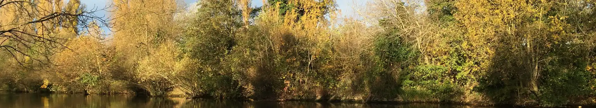 Shepperton campsites