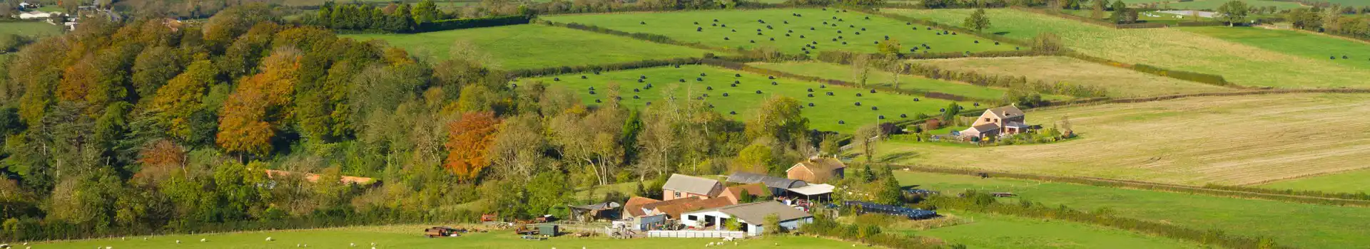 Brent Knoll campsites