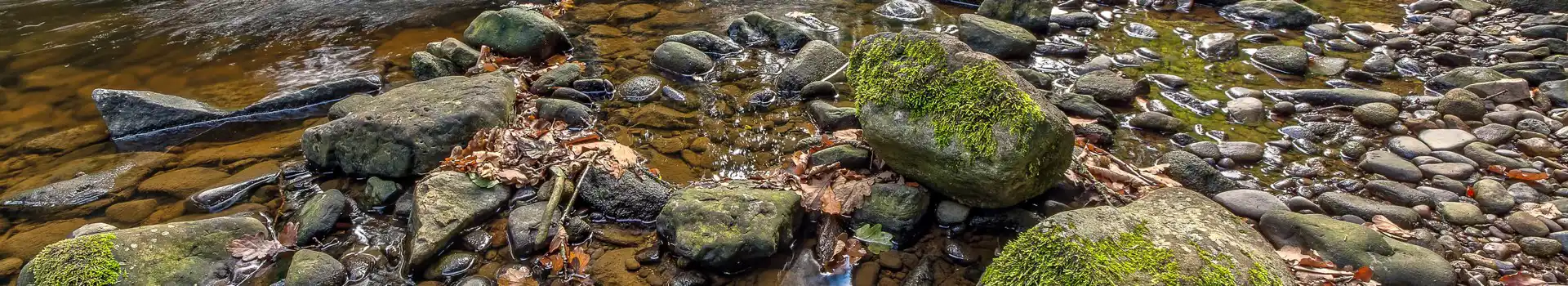 Shotley Bridge campsites