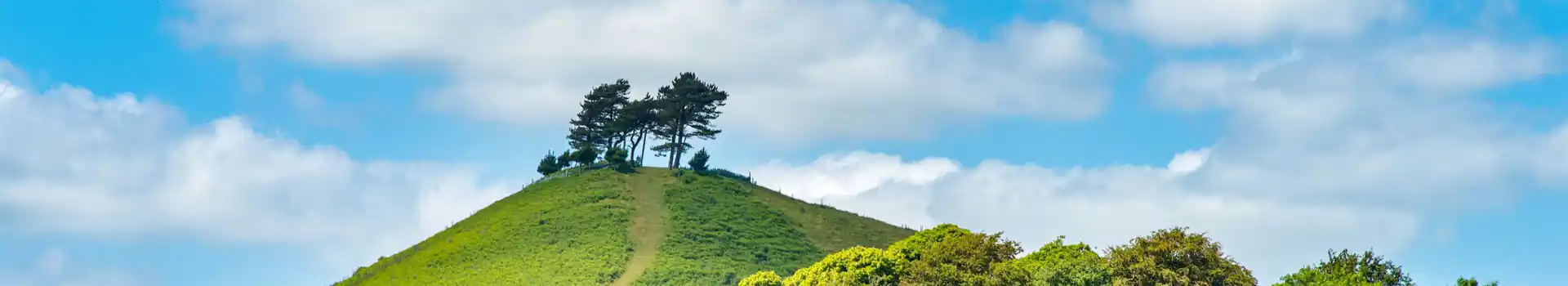 Symondsbury campsites