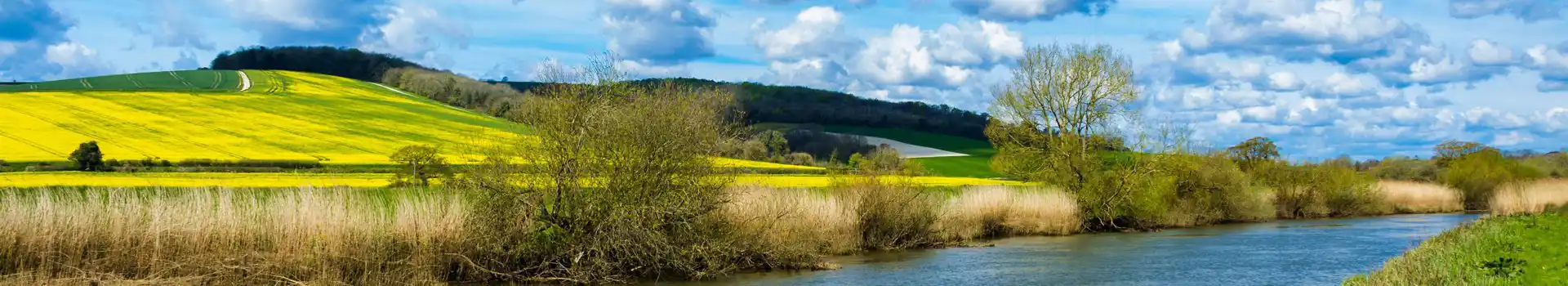 Amberley campsites