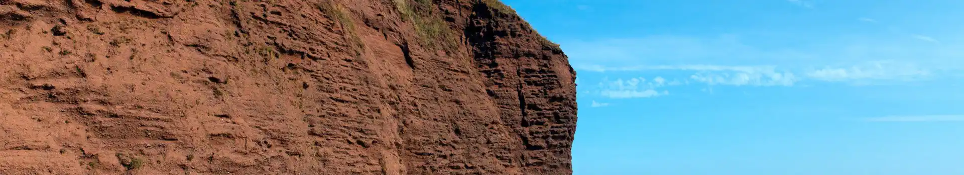 Campsites near Dawlish Warren