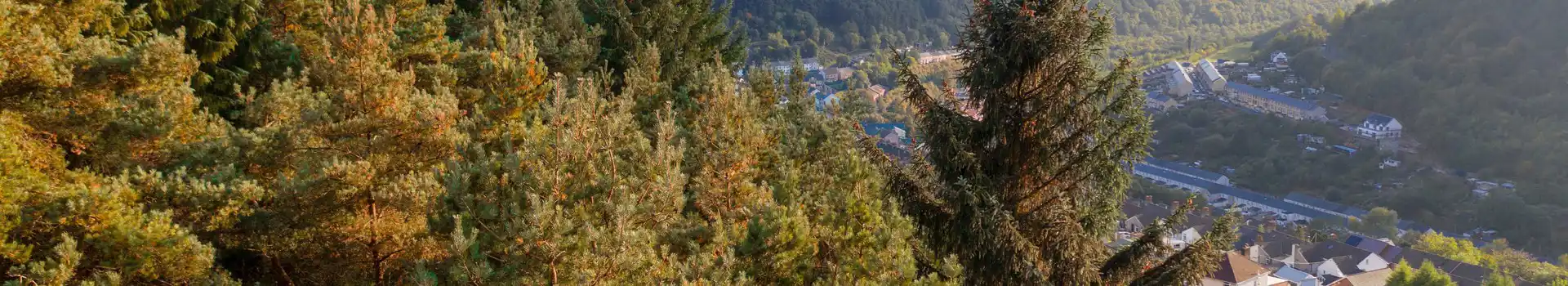 Abertillery campsites