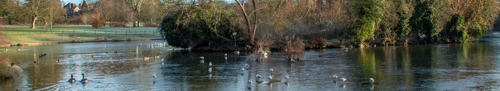 Abington campsites