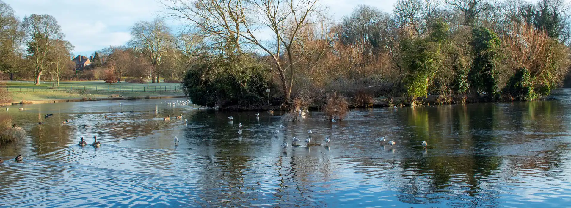 Abington campsites
