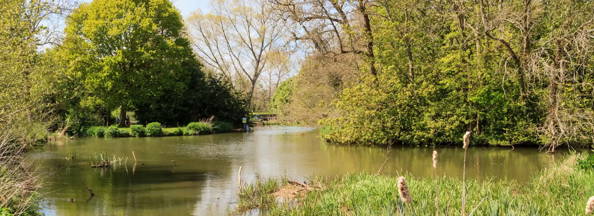 Barcombe campsites