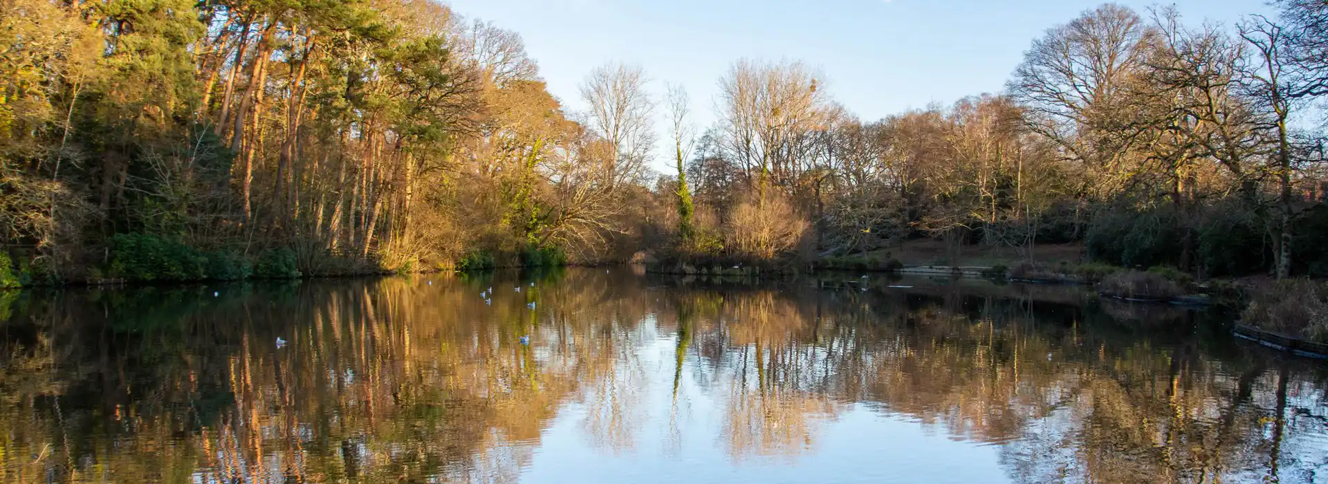 Chandlers ford Chandlers ford