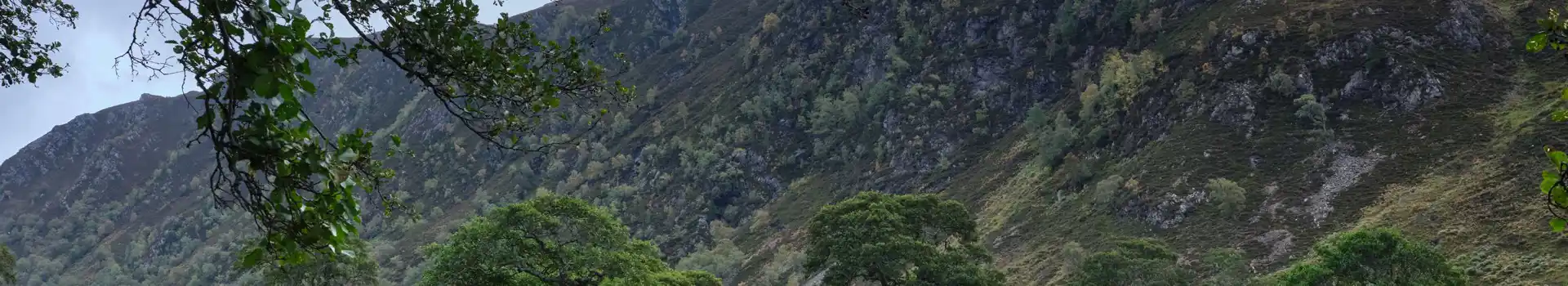 Muir of Ord campsites