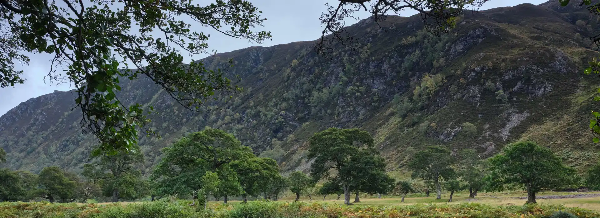 Muir of Ord campsites