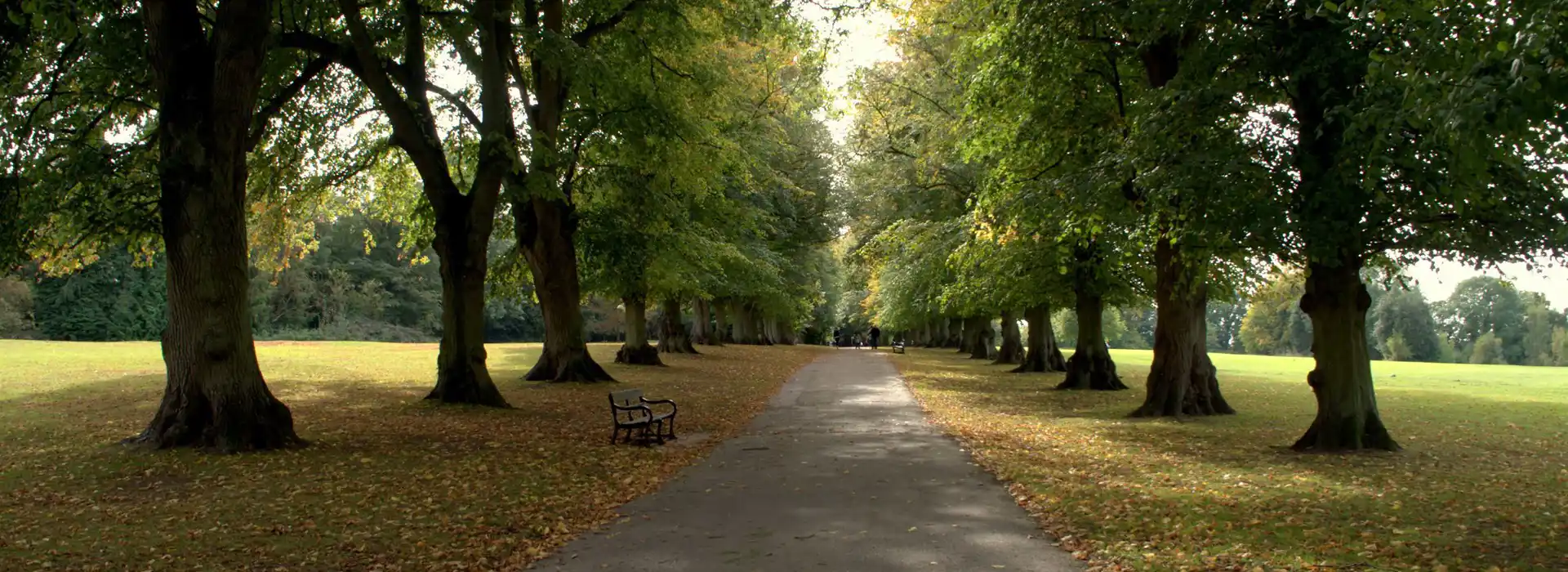 Harpenden campsites