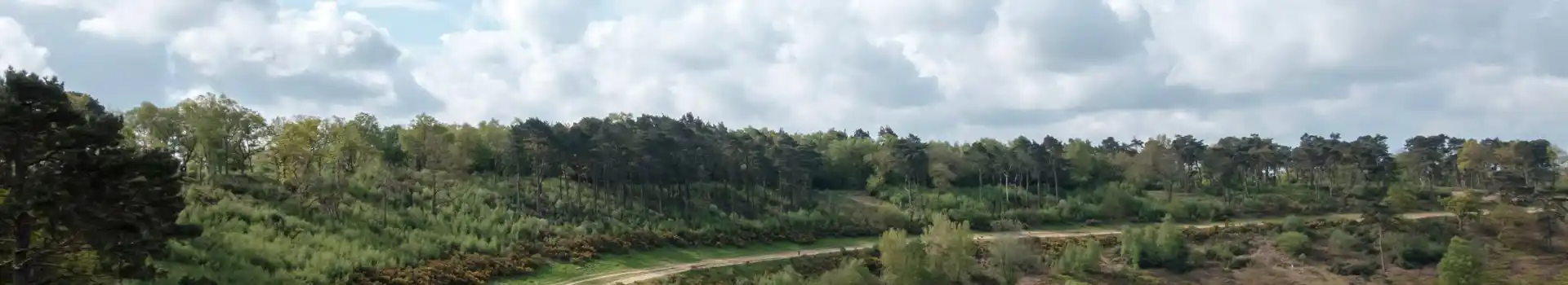 Hindhead campsites