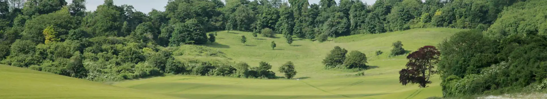 Hollingbourne campsites