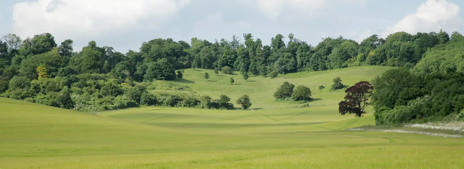 Hollingbourne campsites