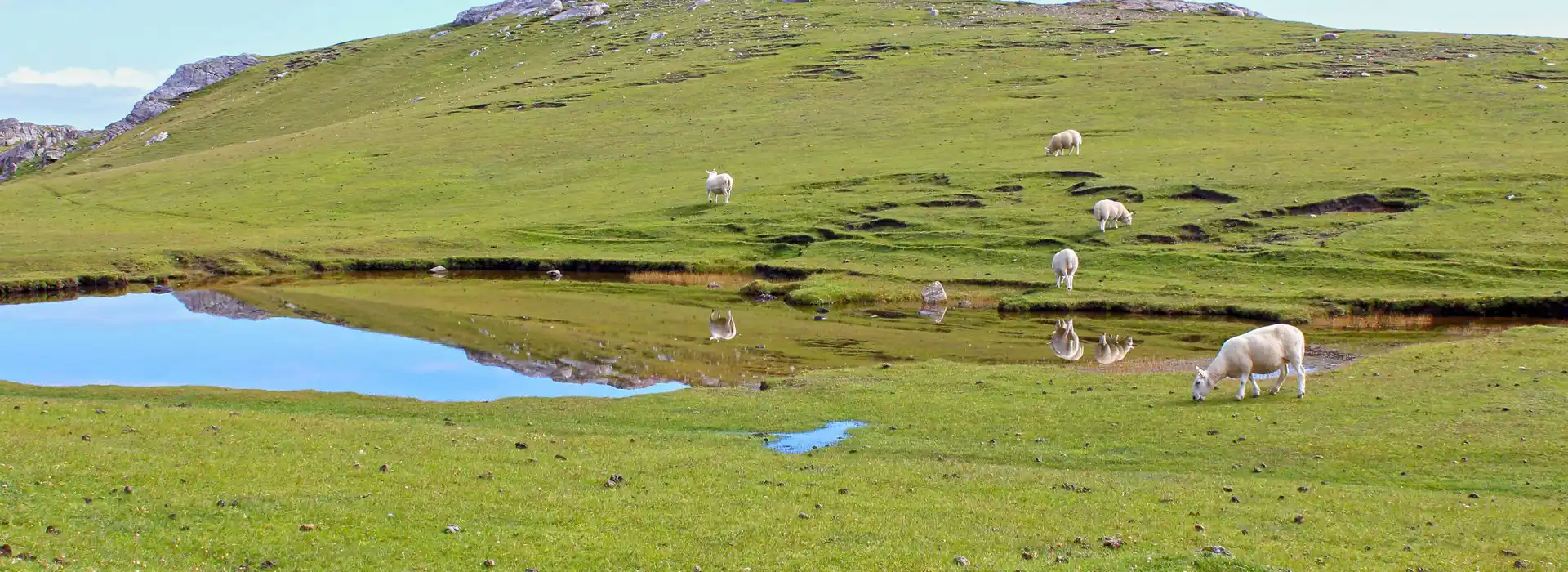 Strathy campsites