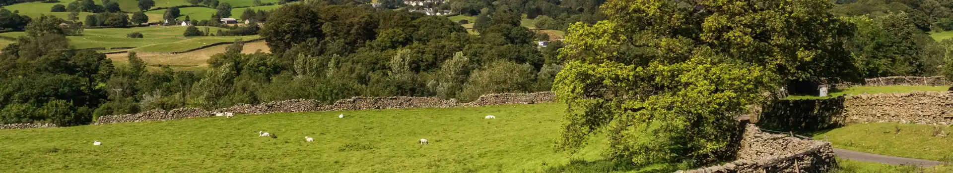 Tebay