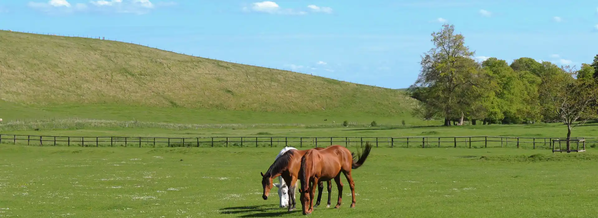 Ashbury campsites