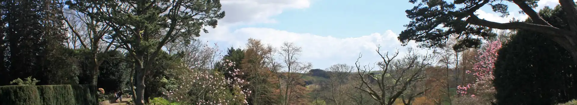 Dartington campsites