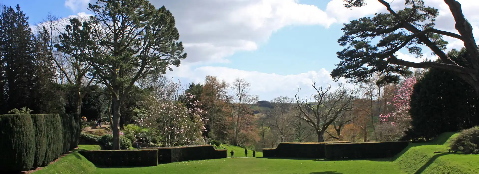 Dartington campsites