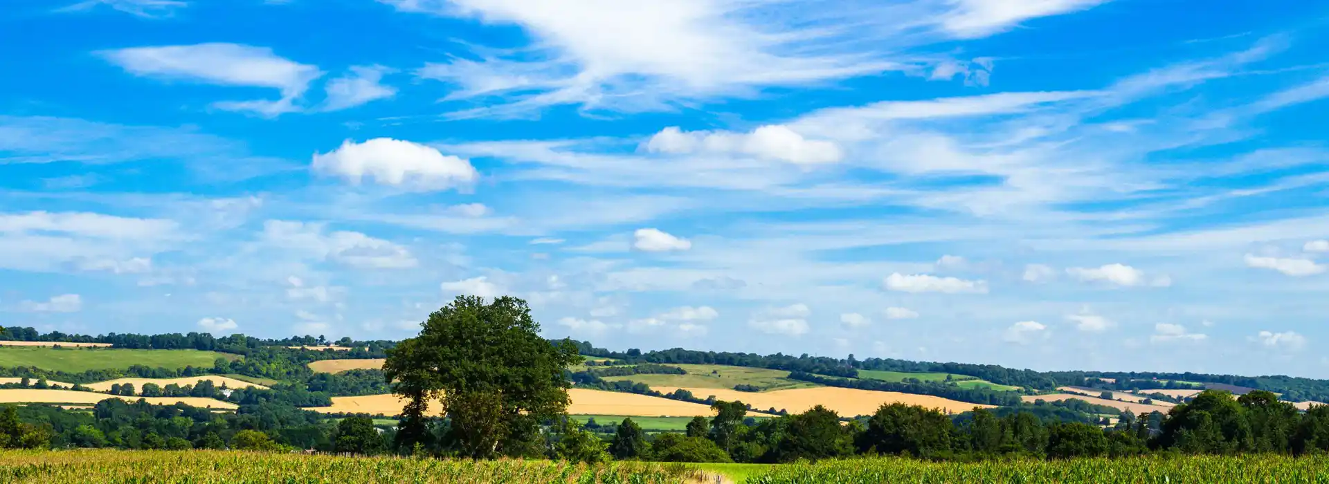 Westerham campsites