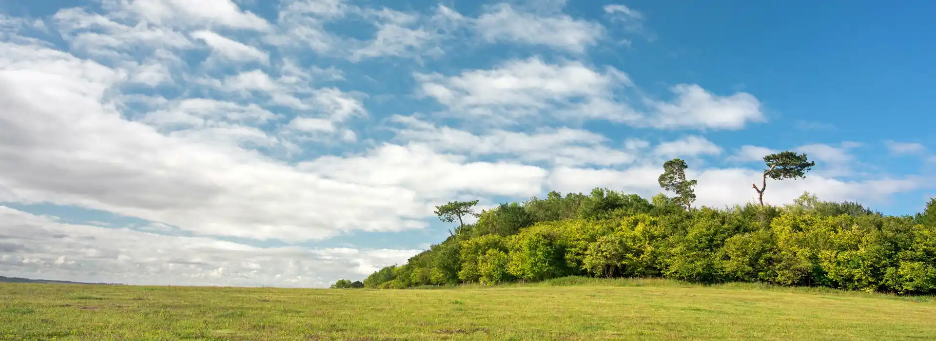 Bulford campsites