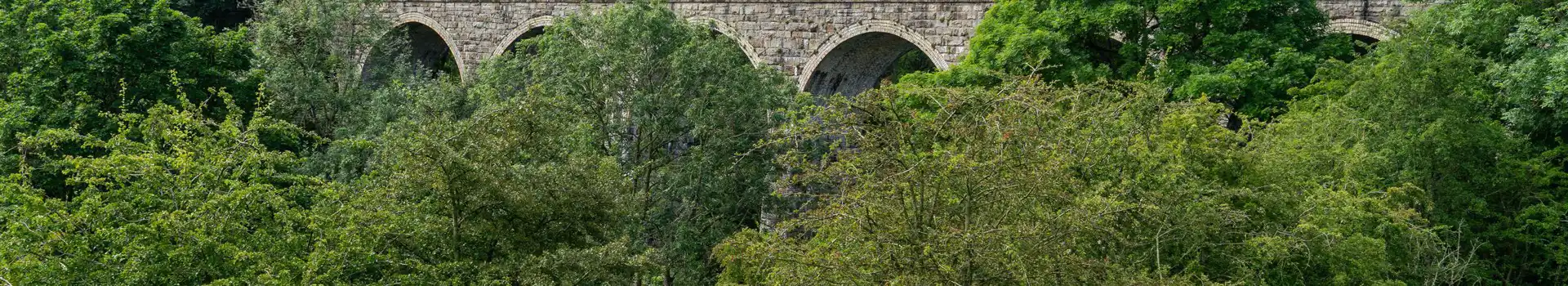 Cotherstone campsites