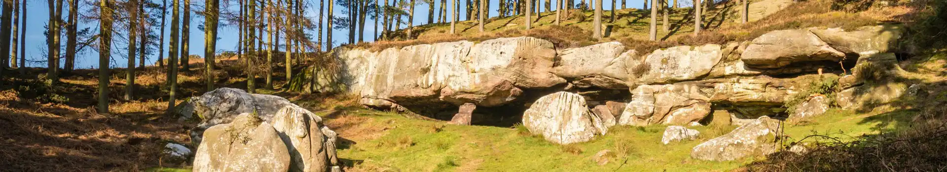 Holburn campsites
