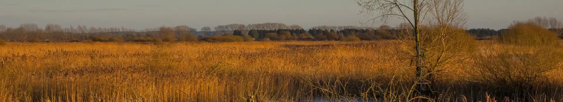 Lakenheath campsites