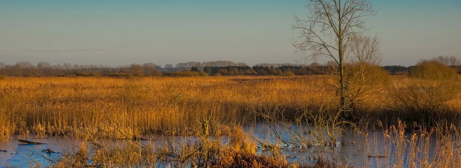 Lakenheath campsites