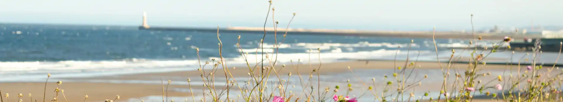 Seaburn campsites