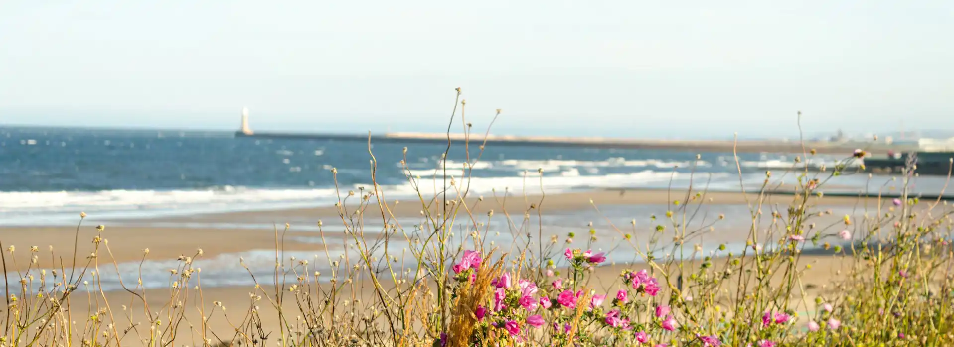 Seaburn campsites Seaburn campsites