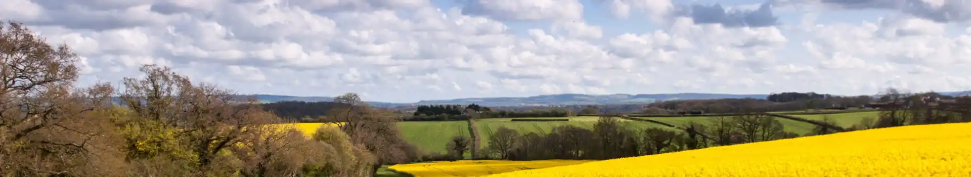 Stalbridge campsites