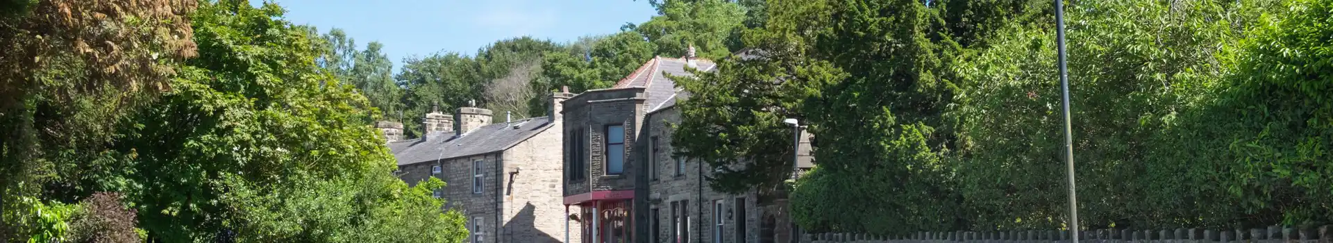 Waddington campsites