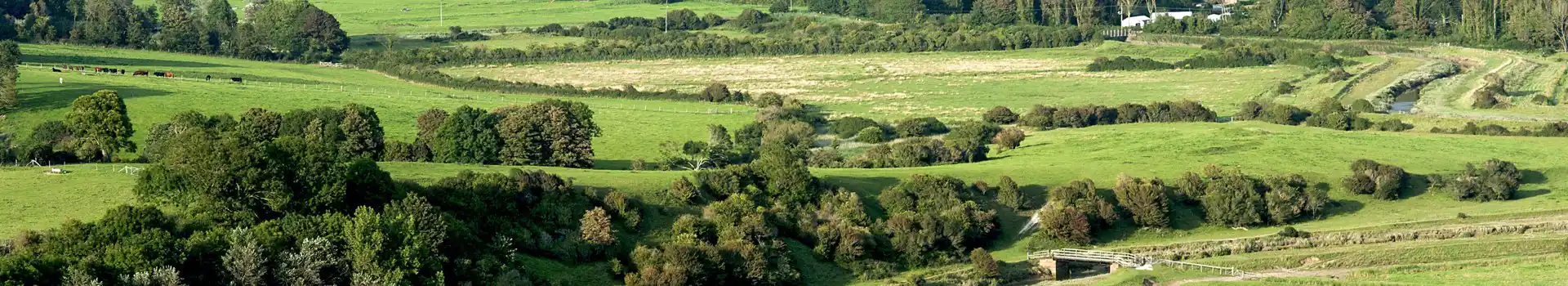 Litlington campsites