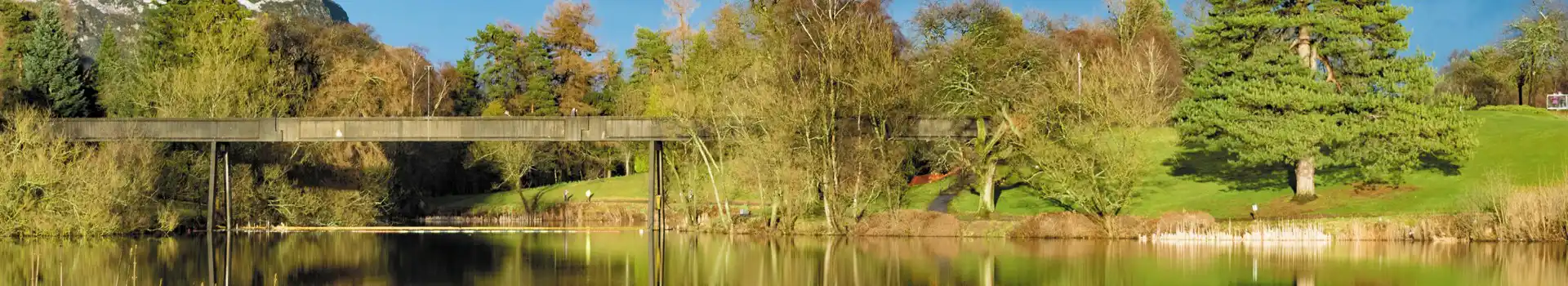 Bridge of Allan campsites